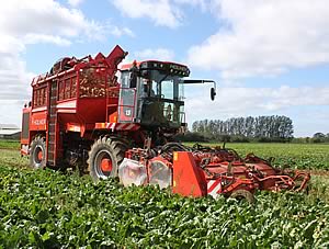 HOLMER sugar beet harvester