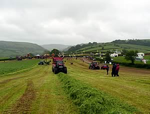 Royal Welsh Grassland Event