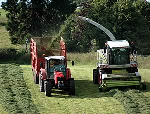 Silaging