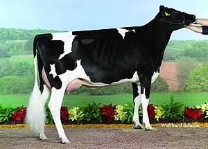 Lorella von Guarini