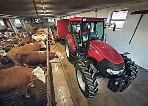 Farmall 115A