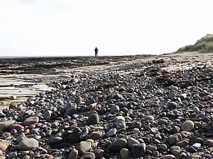 Pebble beach