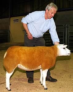 Stuart Currie