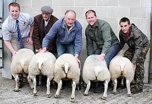 September prime lamb champions