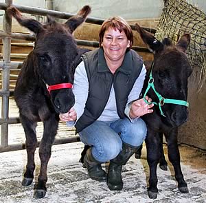 Helen Barker and her miniature donkeys