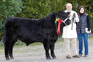 Mogeely Lord Hines L142