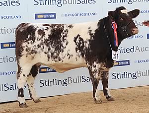 Lowther Sally
