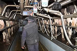 milking parlour