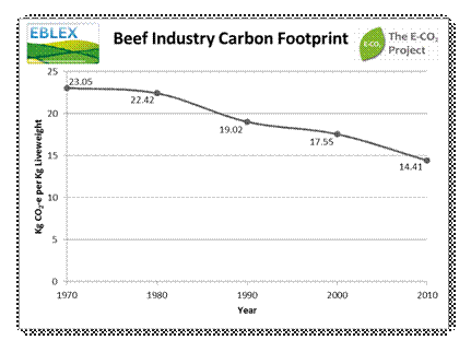 Beef Industry Carbon Footprint
