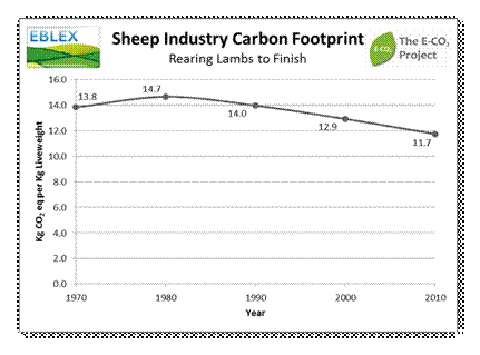Sheep Industry Carbon Footprint