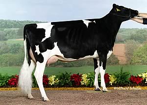 Guarini daughter Lorella von Guarini