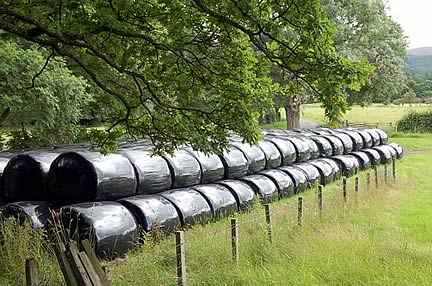 Craven Auction Fodder Sales