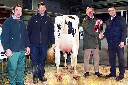 Craven Dairy Auction February champion