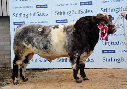 Chapelton Exemplar 8000gns