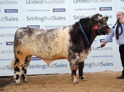 Burnside Elite 8500gns