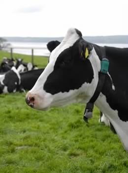 SCR Wins Agriculture Technology Innovation Award