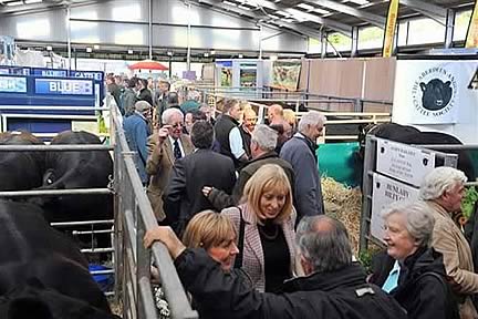Beef Expo