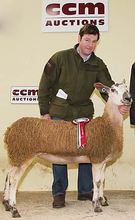 Skipton BFL Champion