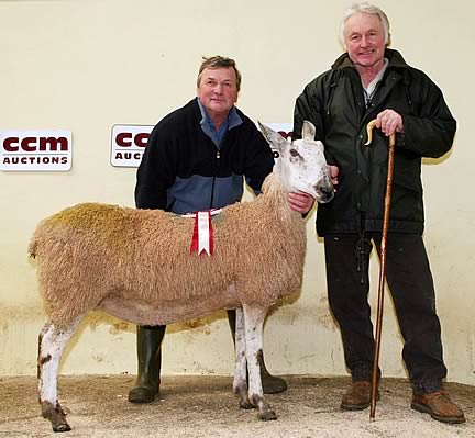 Skipton BFL Reserve Champion