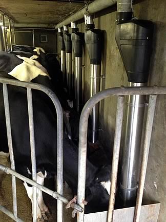 The just launched shorter version of the PipeFeeder suits existing parlours with restricted headroom.