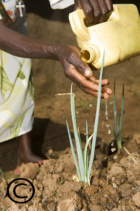 National Action Against Hunger Crucial In Post-2015 World