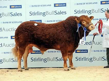 Mereside Godolphin