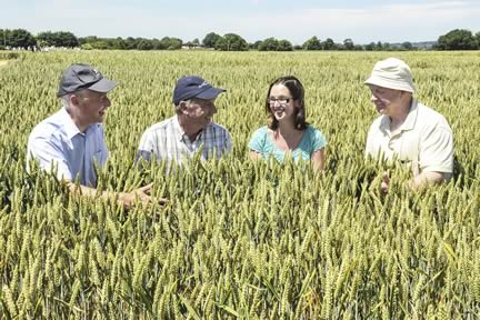 Pictured at the Irish Seed Trade Association (ISTA) in conjunction with the Dept of Agriculture cereal trials open day  are John McCarthy & Billy Cotter, both with Syngenta,  Helen Wilson, RAGT Seeds, Cambridge   & Noel Delany, Irish Farmers Association  Grain Committee in a crop of winter wheat.  
