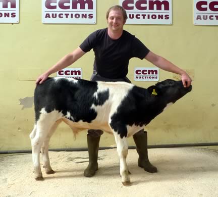 James Middleton £600 calf