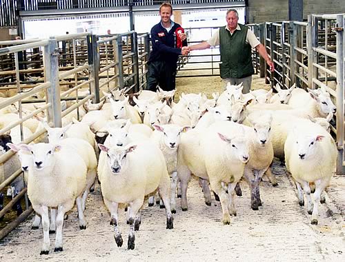 Preceded by his champion store lambs, Robert Greenwood, left, is congratulated by show judge Tony England
