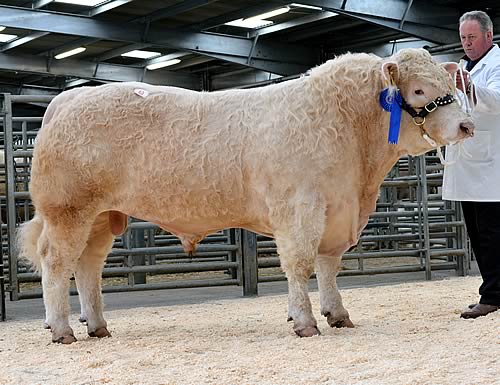 Davally Ivanhoe - 6,800gns