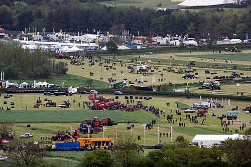 Grassland