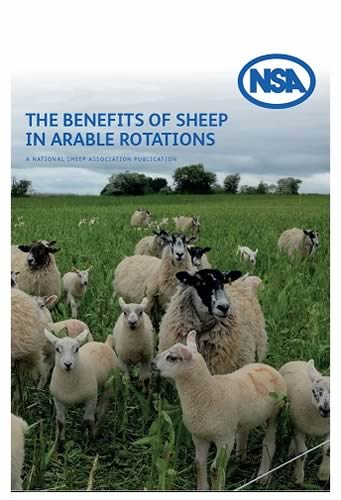 The Benefits of Sheep in Arable Rotations