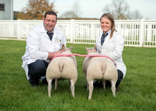 Overall Supreme Champion R Garth from Bentham with a pair of trimmed wethers