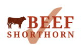 Beef Shorthorn Cattle Society