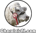 Northern Ireland Charolais Club