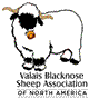 Valais Blacknose North America